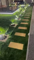 عصام
